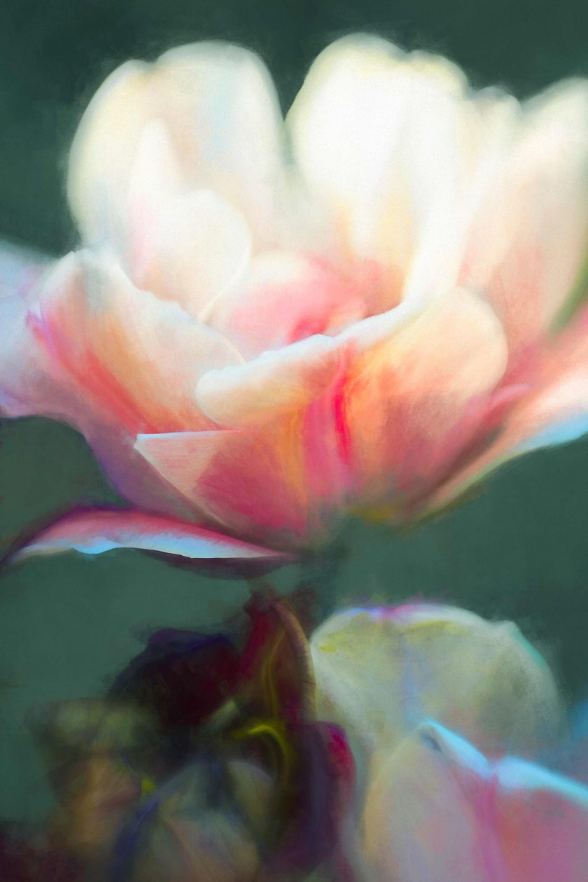 Pojawienie się II, 2018, autorstwa Helen White