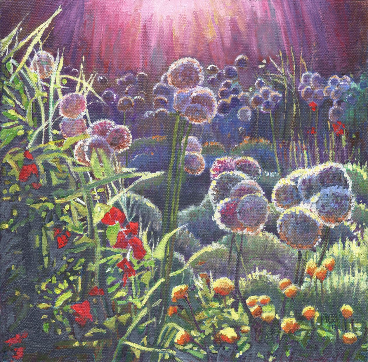 Żar, 2013, autorstwa Helen White