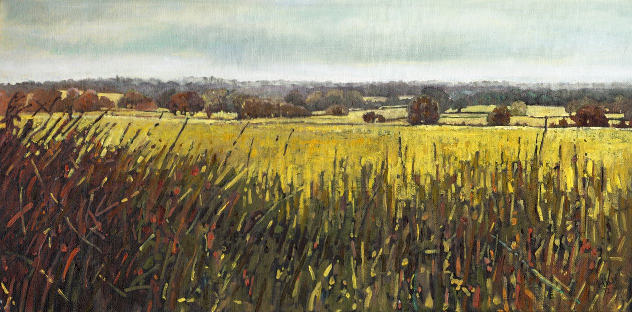 W stronę Riseley, 2012, autorstwa Helen White