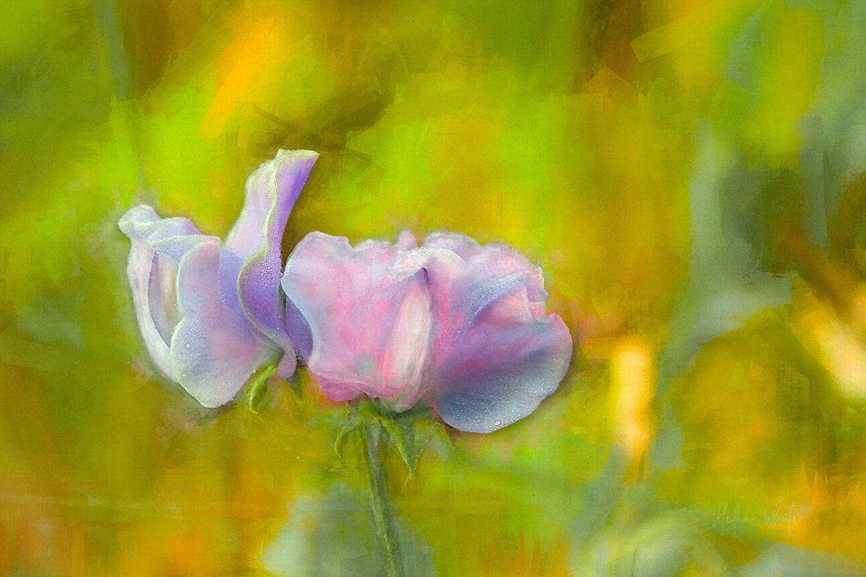 Słodka jesienna I, 2018 autorstwa Helen White