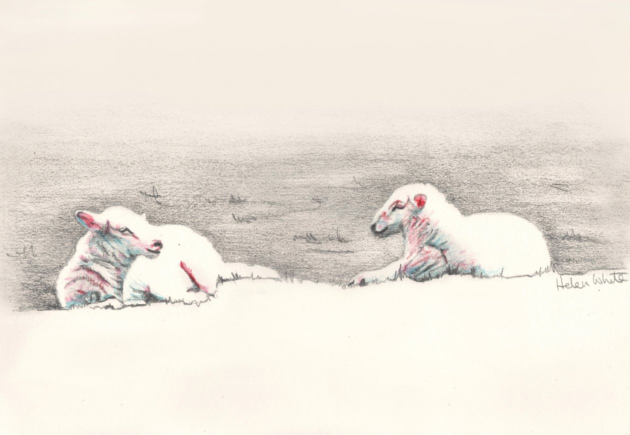 Drzemka, 2016, (rysunek ołówkiem) autorstwa Helen White