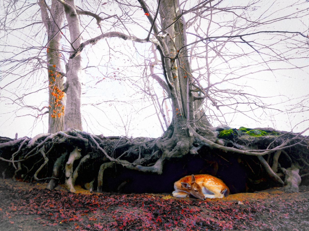 Sanktuarium, 2018 autorstwa Helen White