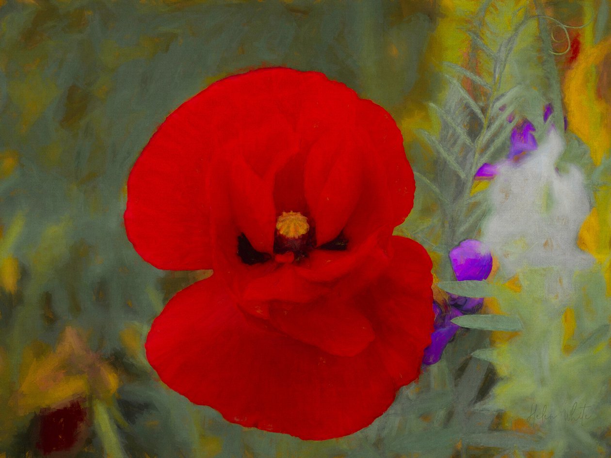 Szkarłatny, 2019 autorstwa Helen White