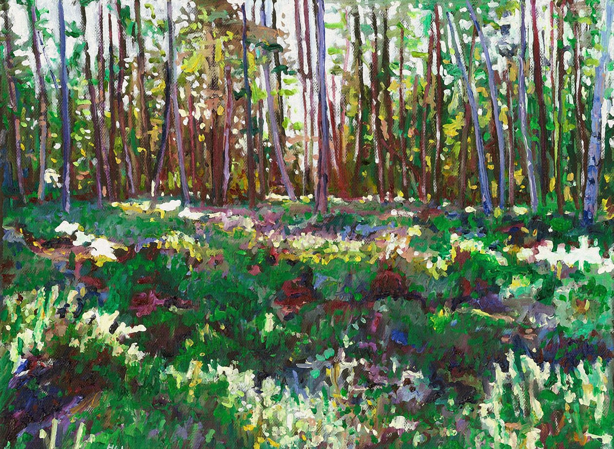 Światło słoneczne na Heather, 2011 autorstwa Helen White