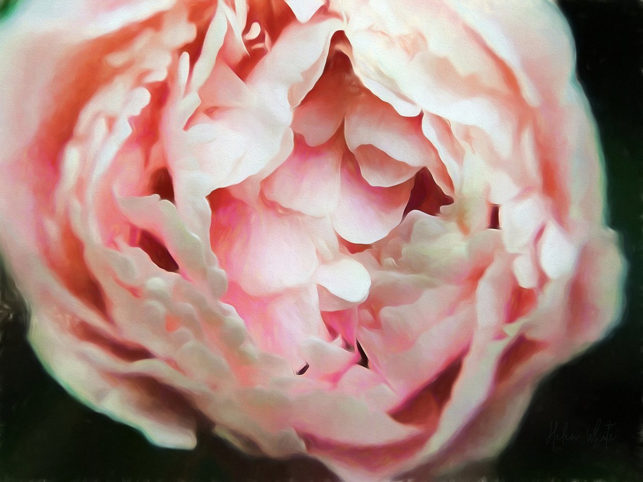 Czułe Serce, 2018, autorstwa Helen White