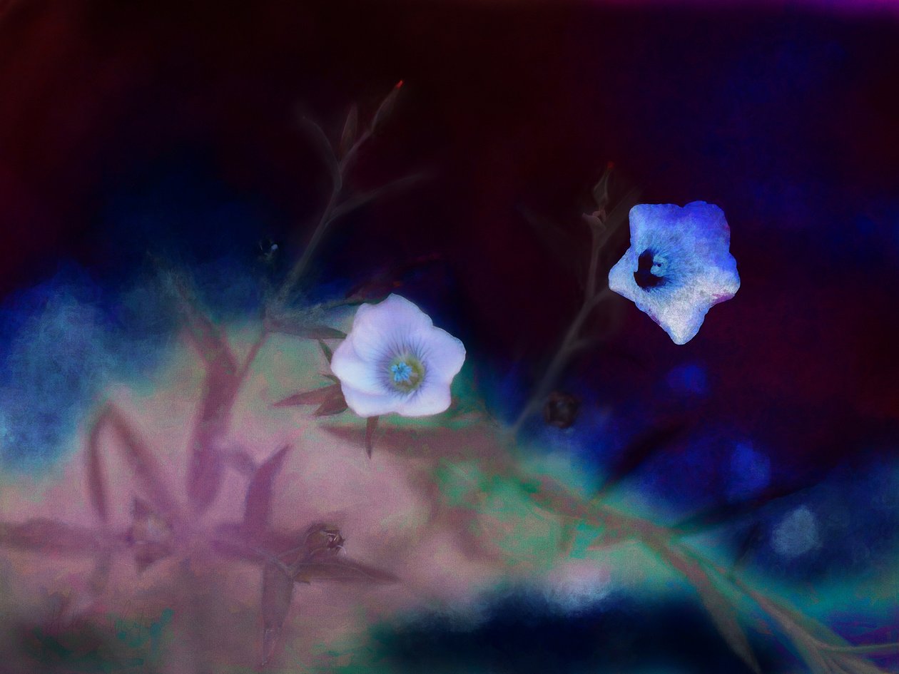 Przemijanie, 2019 autorstwa Helen White