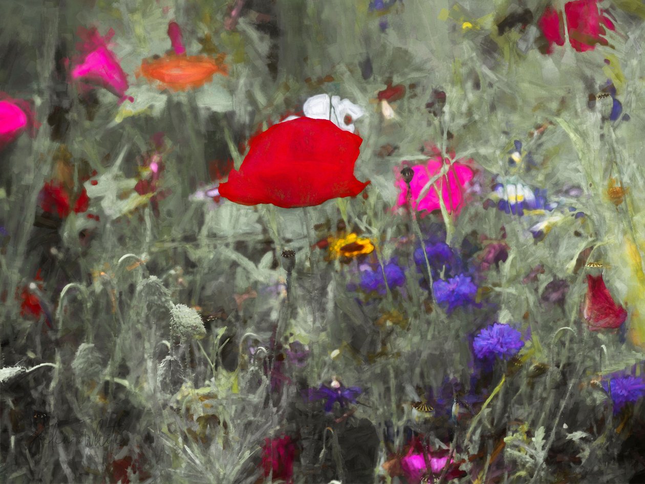 Dziki, 2019 autorstwa Helen White