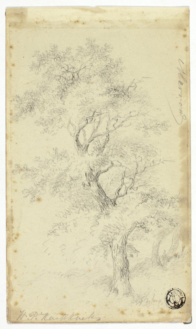 Merron autorstwa Hendrik Pieter Koekkoek