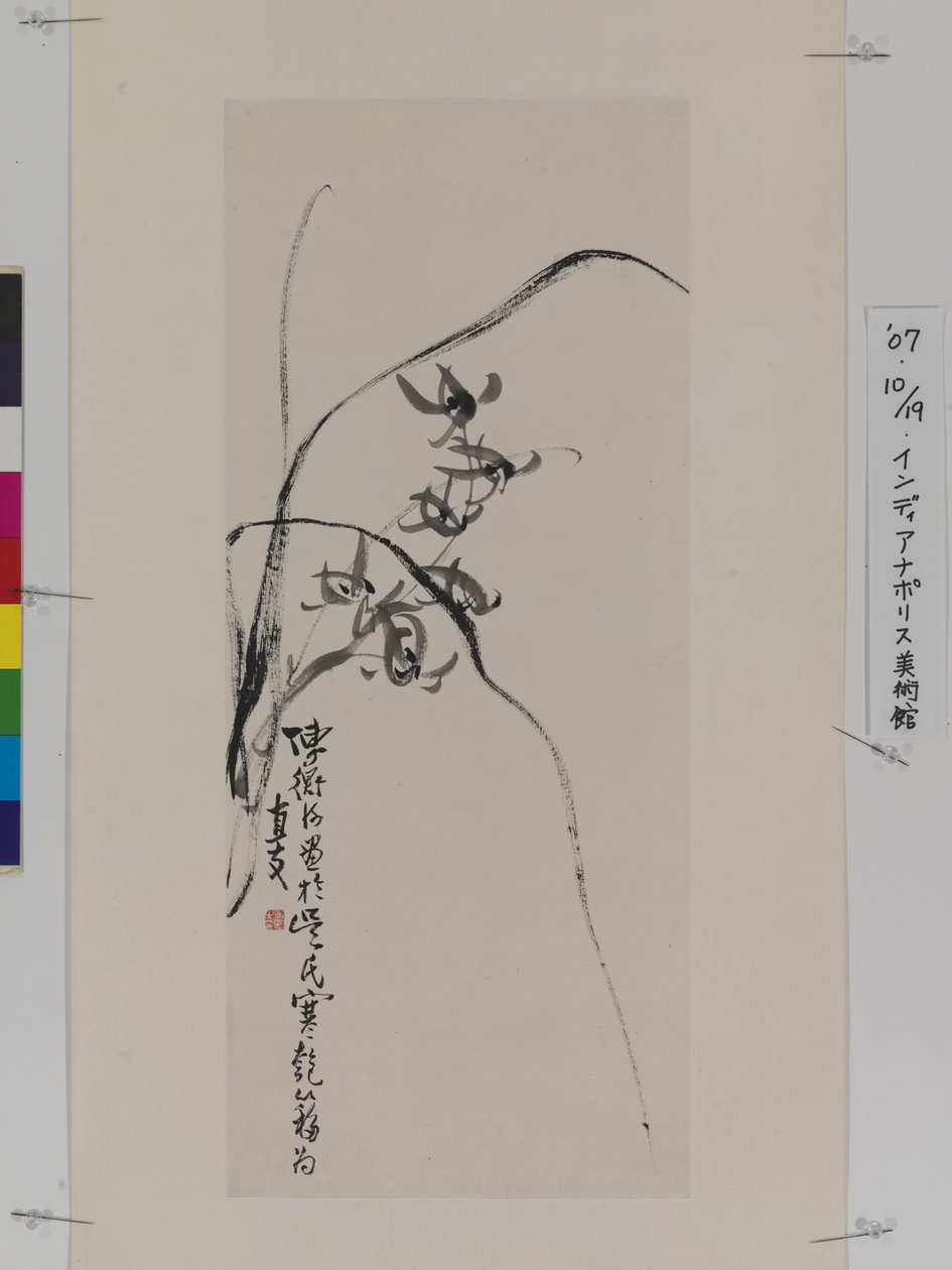 Orchidee (tusz na papierze) autorstwa Hengke Chen