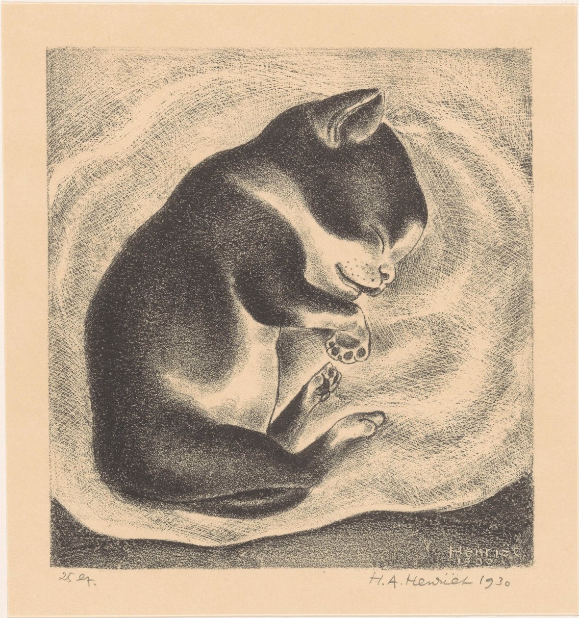 Śpiący młody kot autorstwa Henk Henriët (signed by artist)