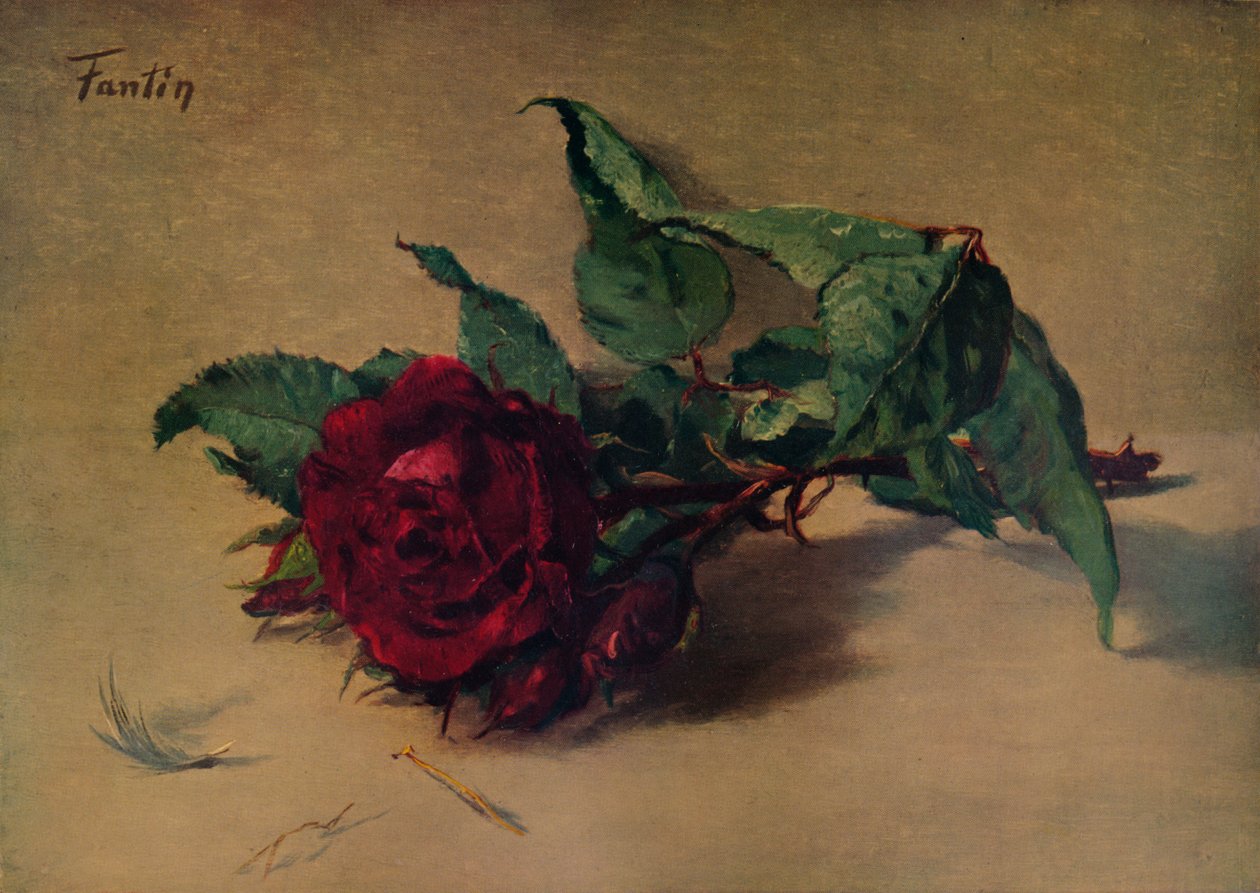 Czerwona Róża, ok. 1864, 1938 r autorstwa Ignace Henri Jean Fantin Latour
