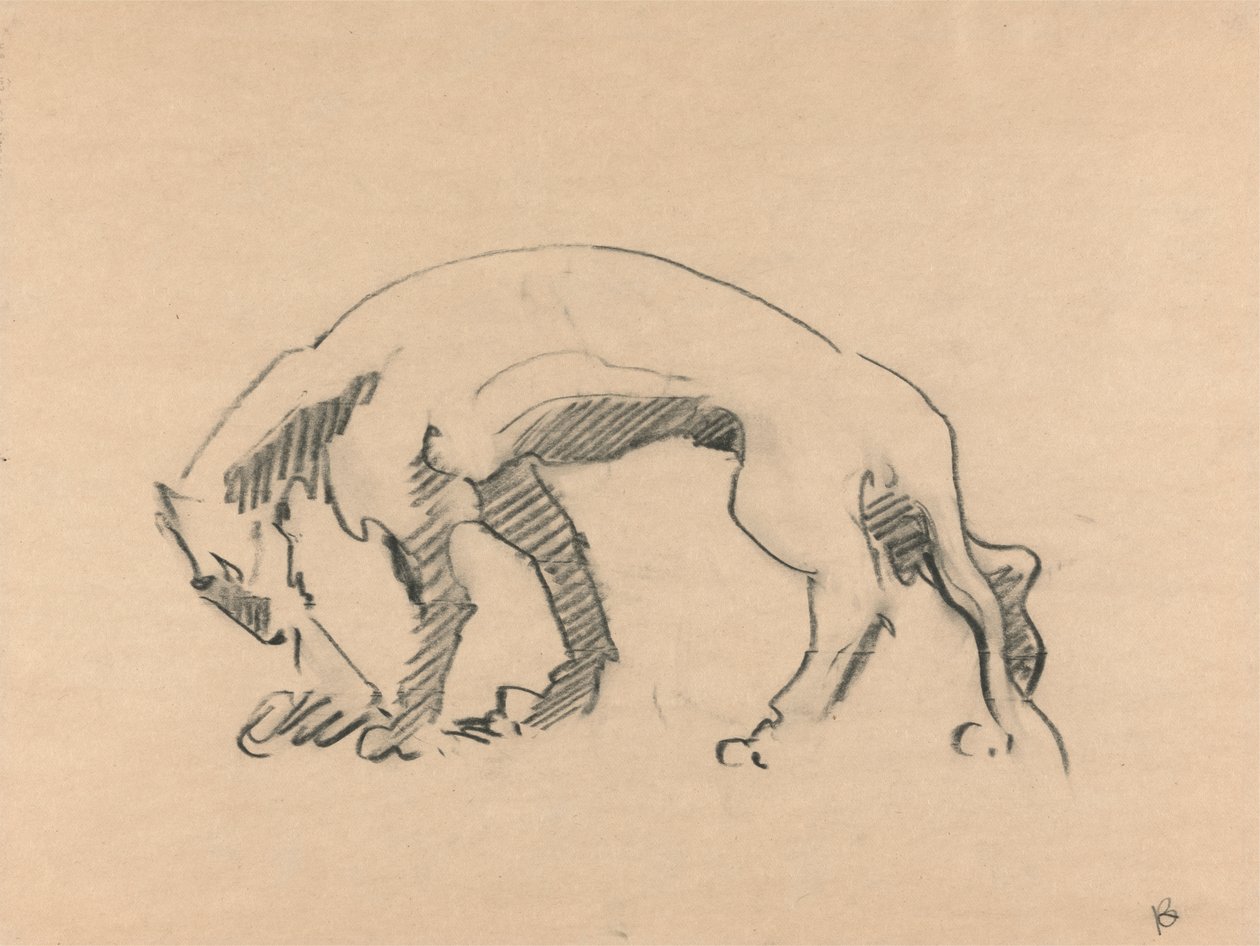 Lwica w profilu autorstwa Henri Gaudier Brzeska