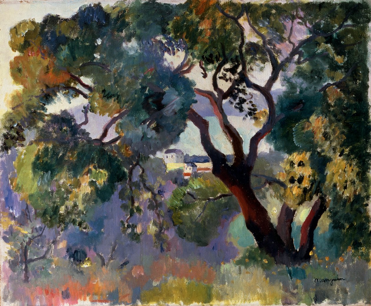 „Krajobraz w Saint-Tropez”, 1905. autorstwa Henri Manguin