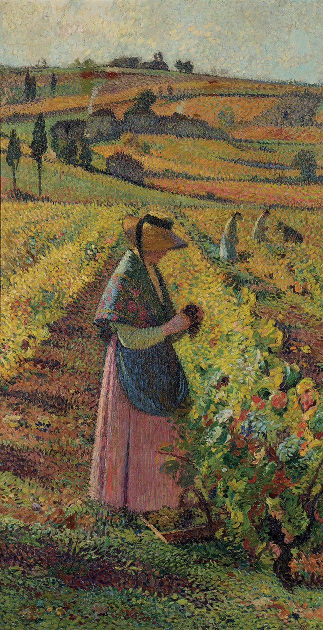 Żniwa; Zbiór winogron, ok. 1925 autorstwa Henri Martin