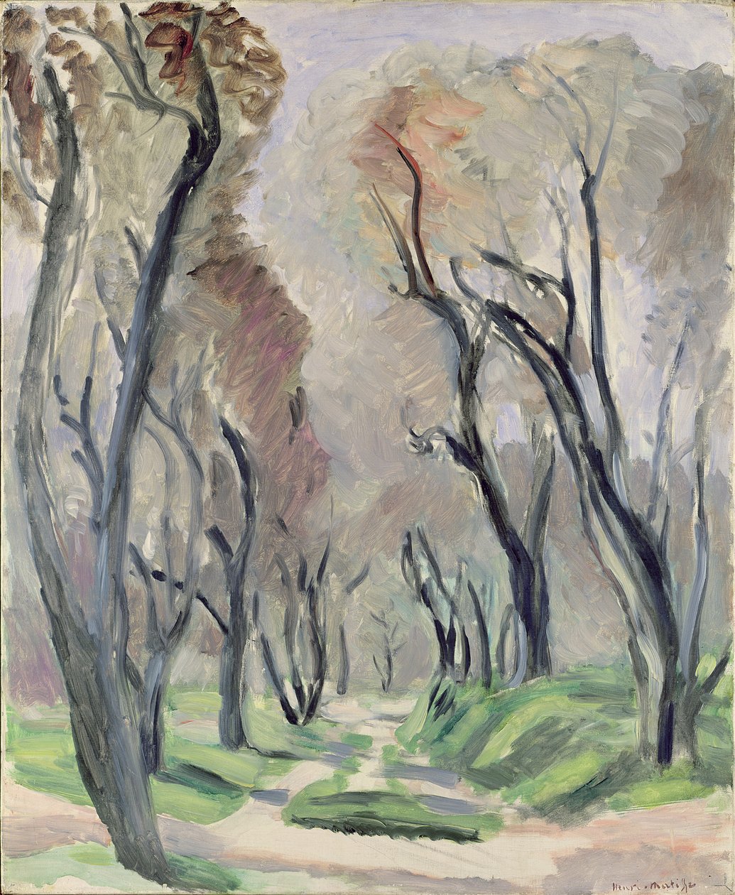 Aleja Drzew Oliwnych autorstwa Henri Matisse
