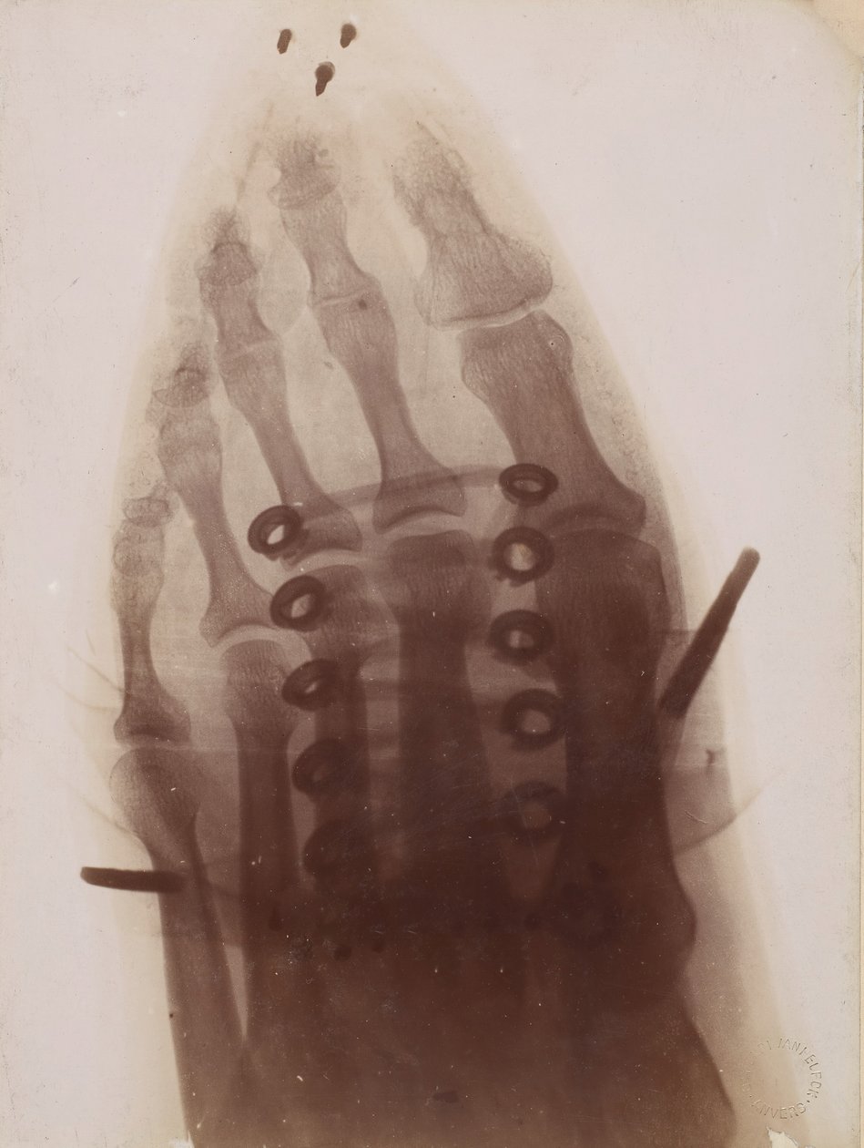 Stopa w bucie, 1896. autorstwa Henri van Heurck