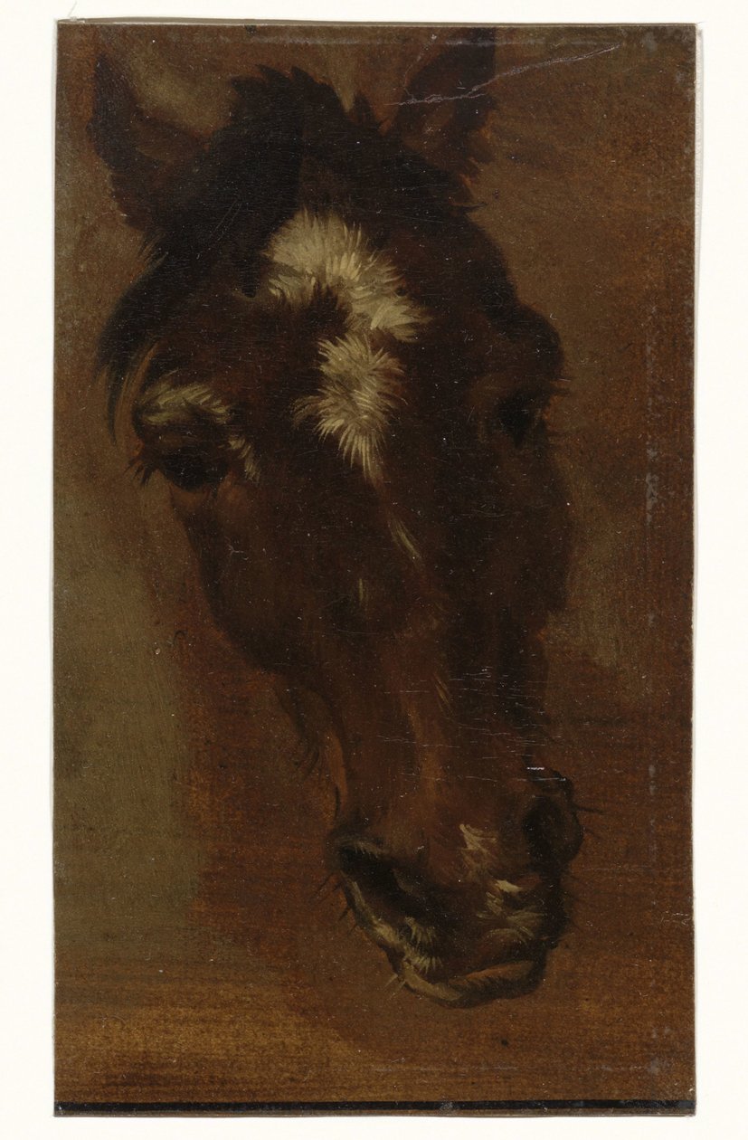 głowa konia autorstwa Henriëtte Ronner