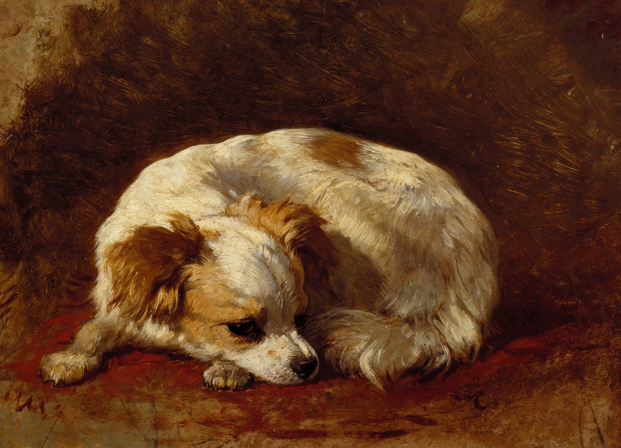 Motyl autorstwa Henriëtte Ronner Knip