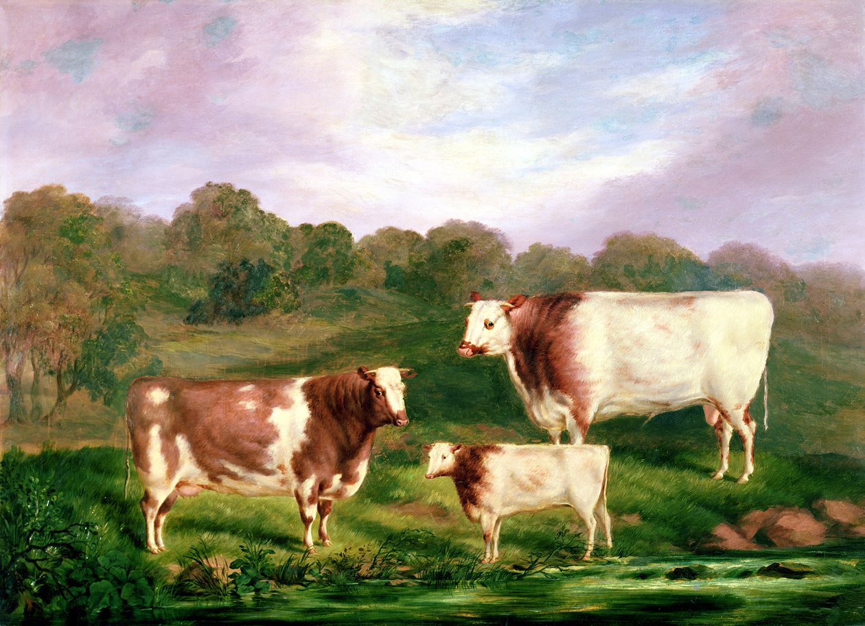 Rodowód Towneleya, 1858-61 autorstwa Henry Barraud