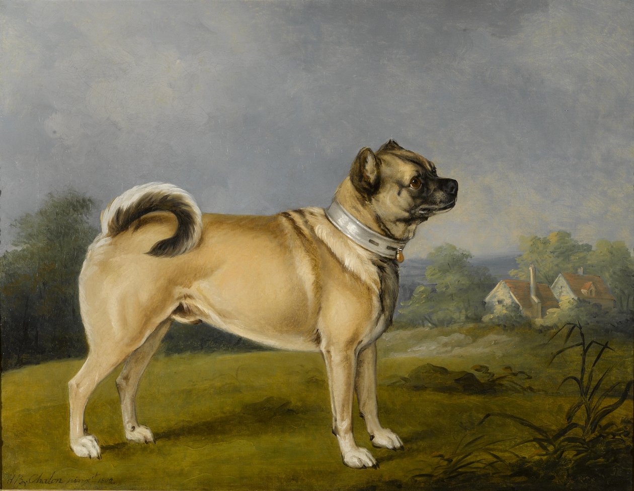 Ulubiony mops autorstwa Henry Bernard Chalon