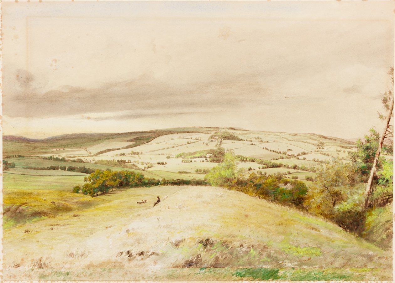 Brunton Bank (kolor nadwozia) autorstwa Henry Burdon Richardson