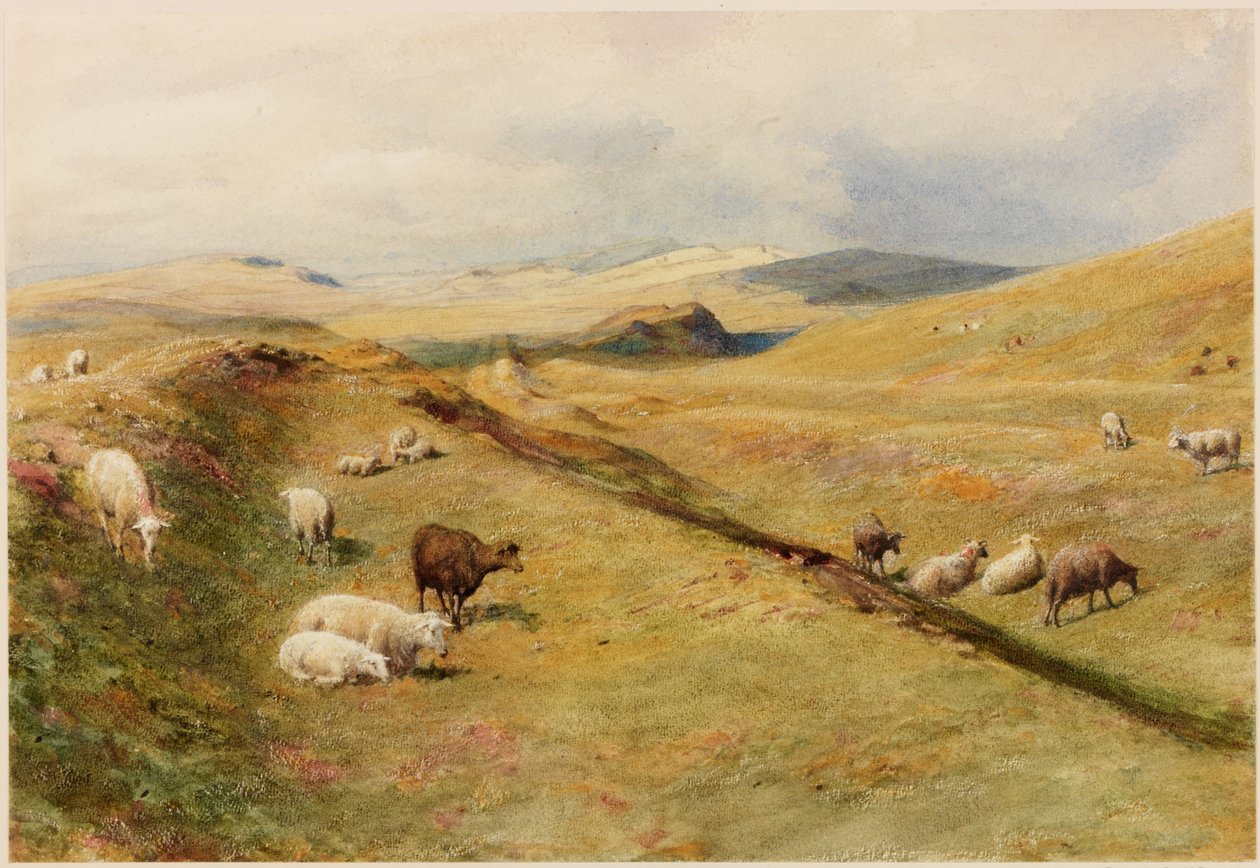 Zamek Nick (kolor nadwozia) autorstwa Henry Burdon Richardson