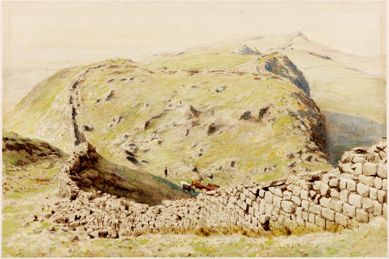 Steel-Rigg (kolor nadwozia) autorstwa Henry Burdon Richardson