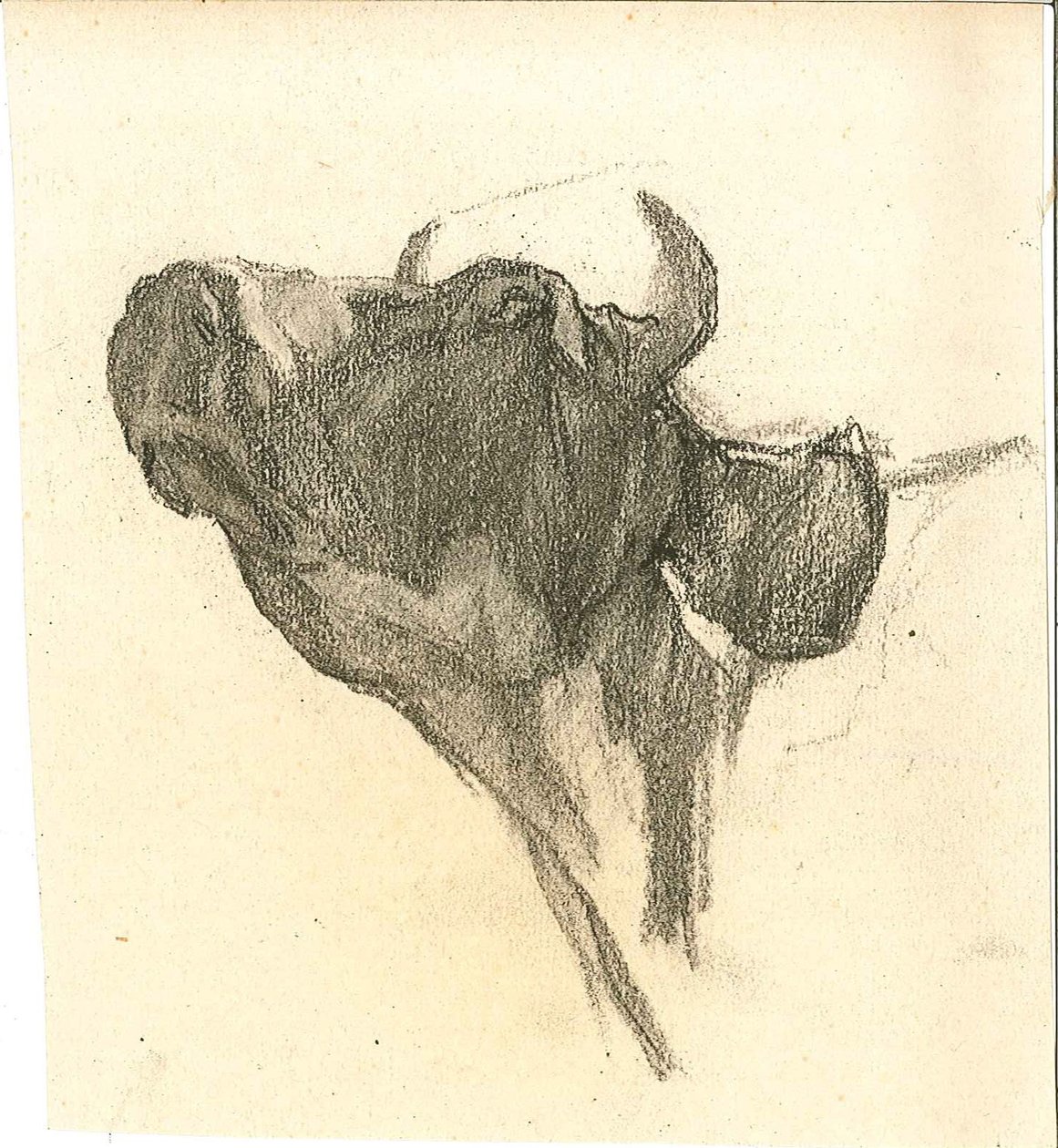 Krowa autorstwa Henry Luyten