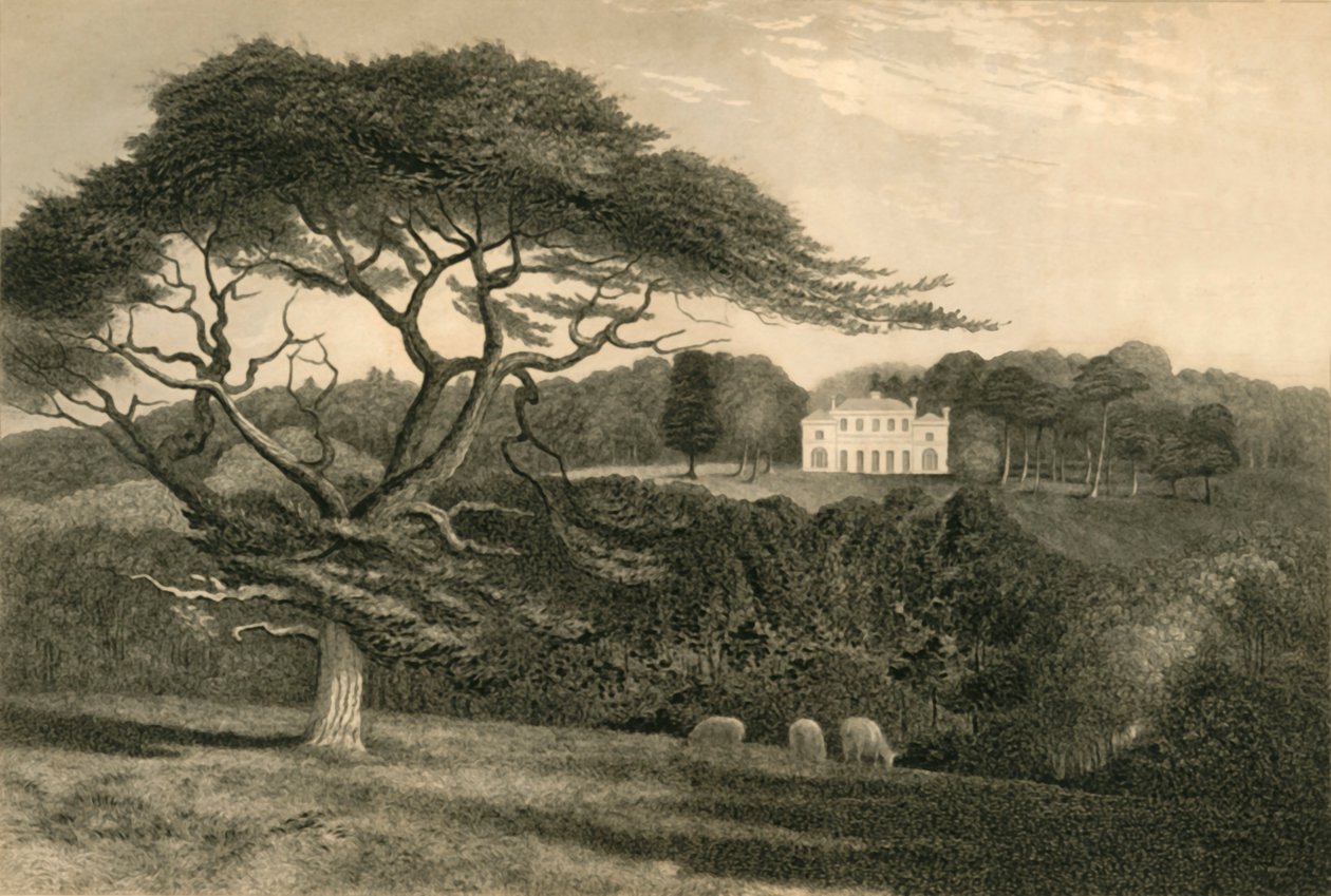 "Wzgórze Wiatraka", 1835. autorstwa Henry Alexander Ogg