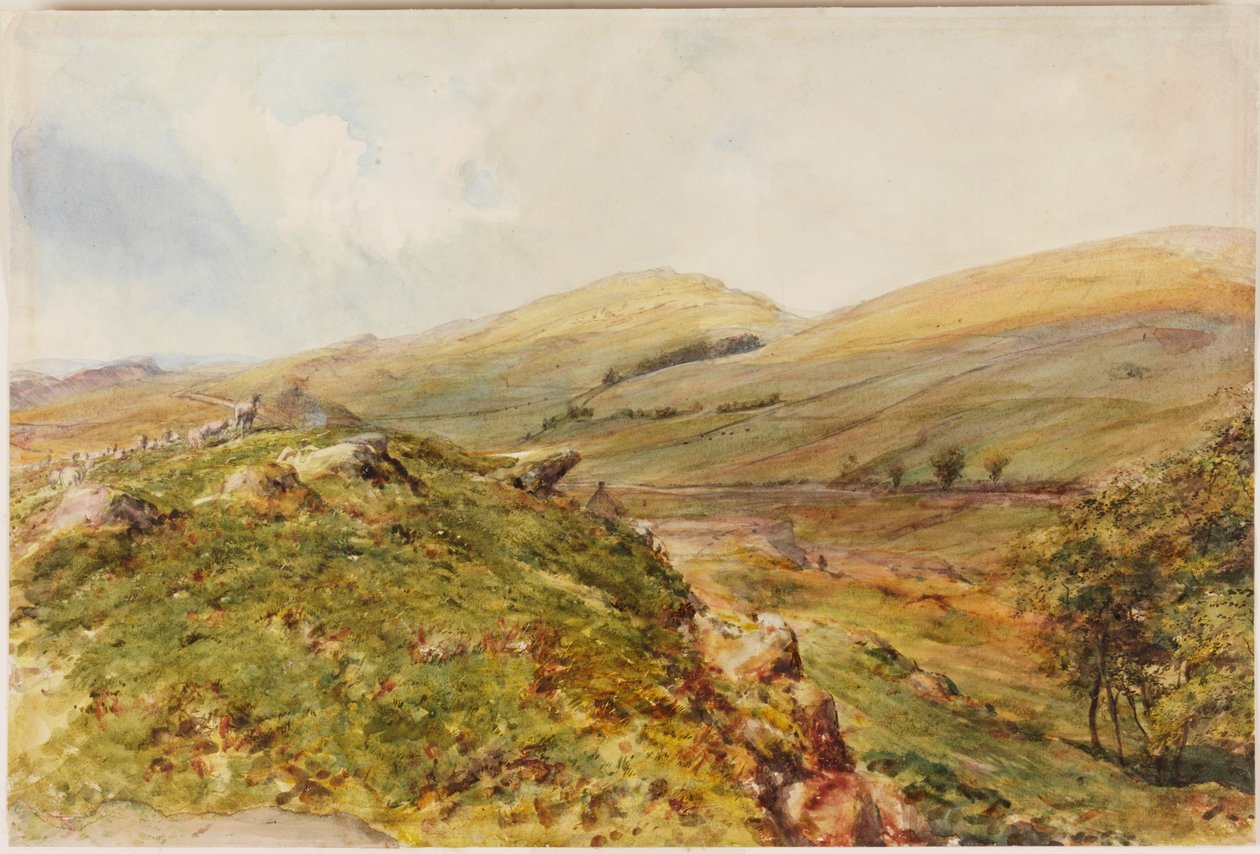 Cockmount Hill (kolor nadwozia) autorstwa Henry Burdon Richardson