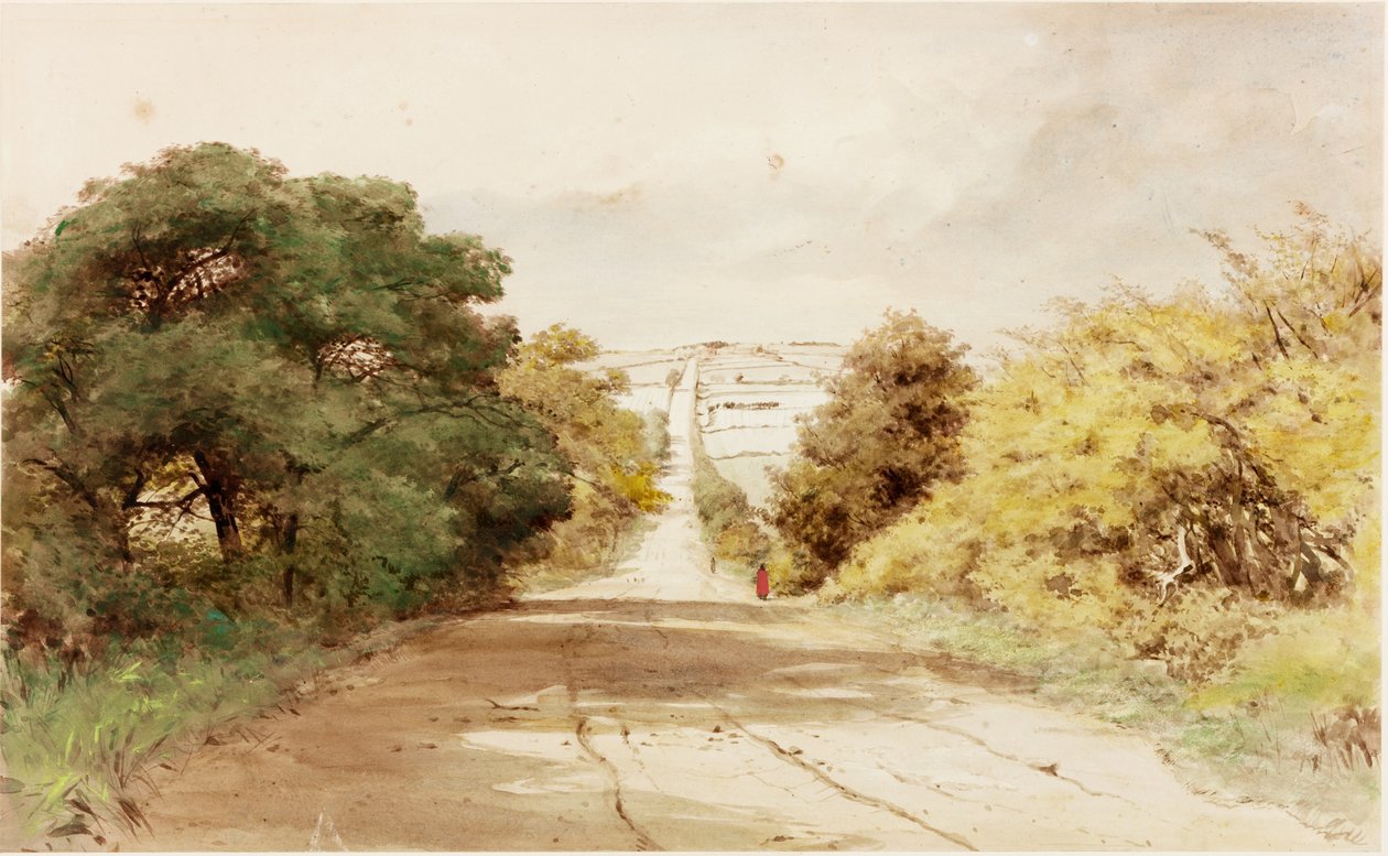 Harlow Hill (kolor nadwozia) autorstwa Henry Burdon Richardson