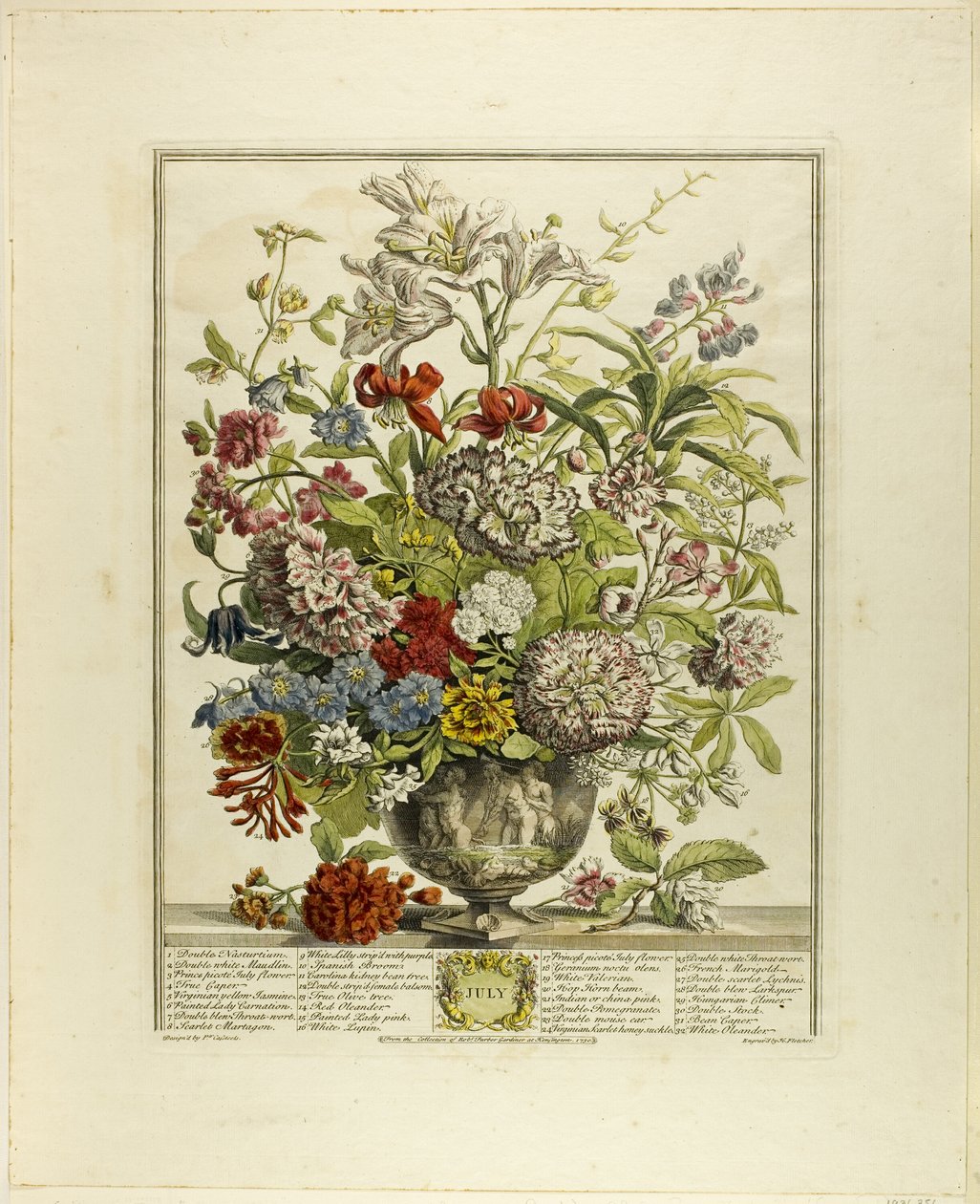 Lipiec, od Twelve Months of Flowers autorstwa Henry Fletcher