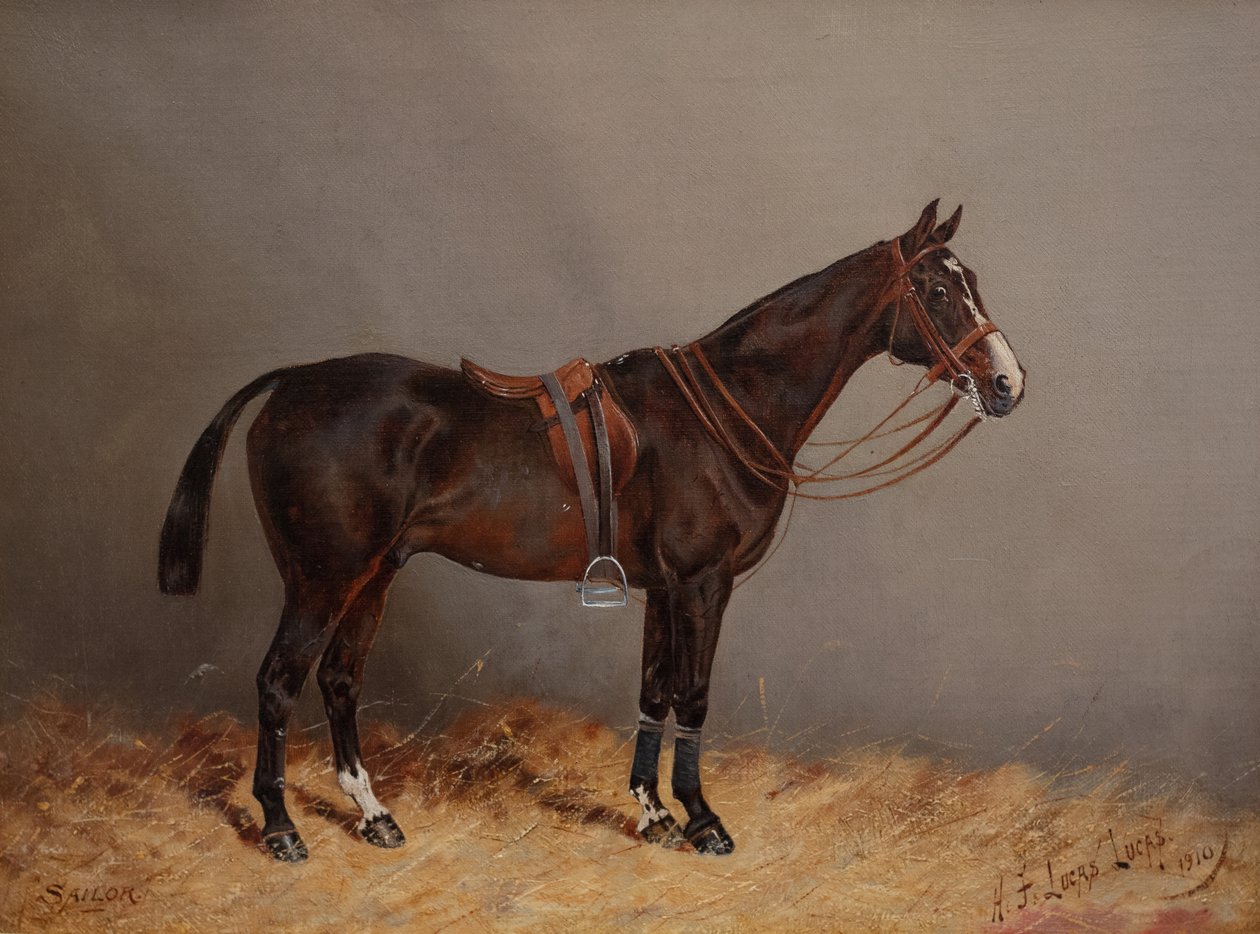 Marynarz autorstwa Henry Frederick Lucas Lucas