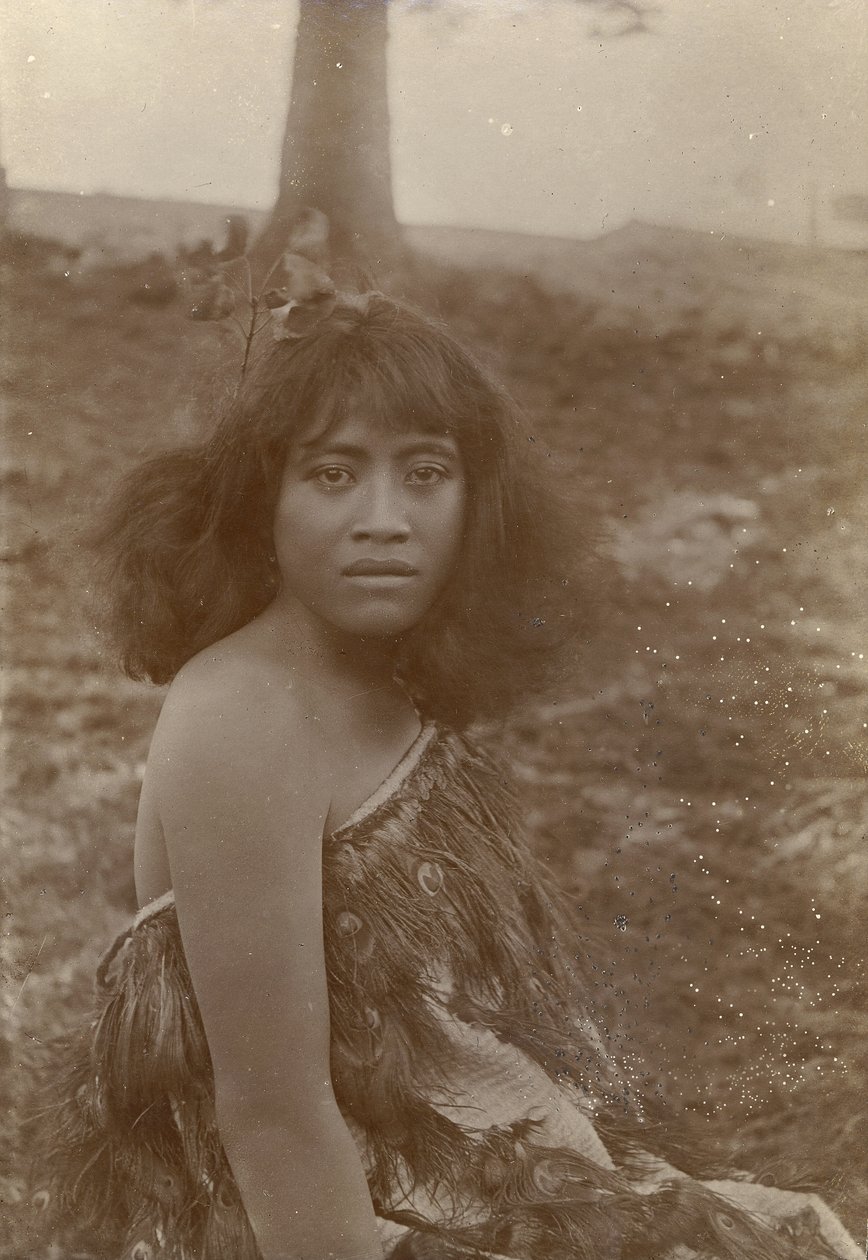 Studium Maorysa, ok. 1910 (odbitka żelatynowo-srebrowa) autorstwa Henry Gaze