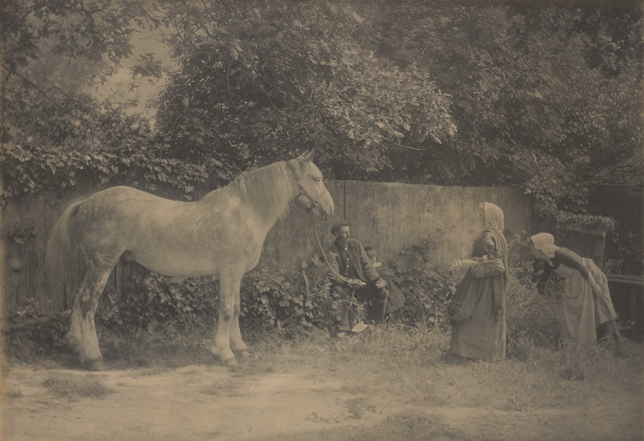 [Old Dapple] autorstwa Henry Peach Robinson