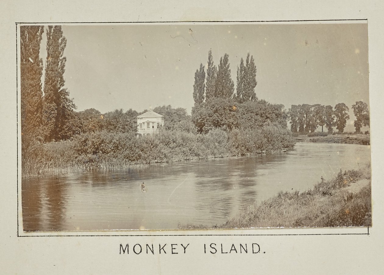 Monkey Island autorstwa Henry W. Taunt