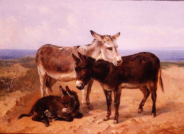 Piaskowe Osły autorstwa Henry Weekes