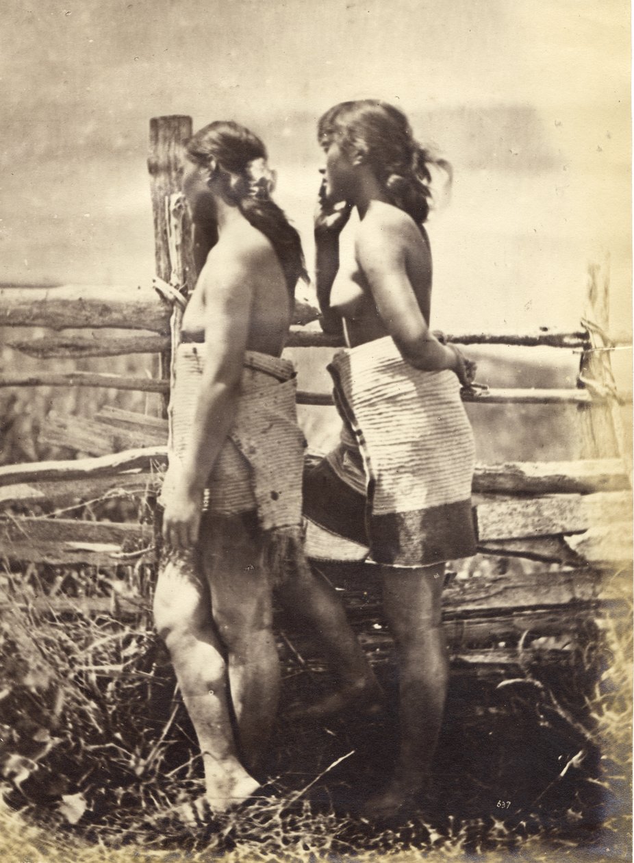 Studium Maorysów, c.1870 (druk albumowy) autorstwa Herbert Deveril