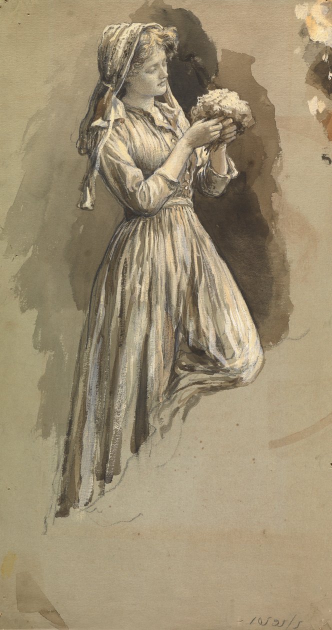 Dziewczyna z Posy (pióro i tusz i pranie na papierze) autorstwa Herbert Thomas Dicksee