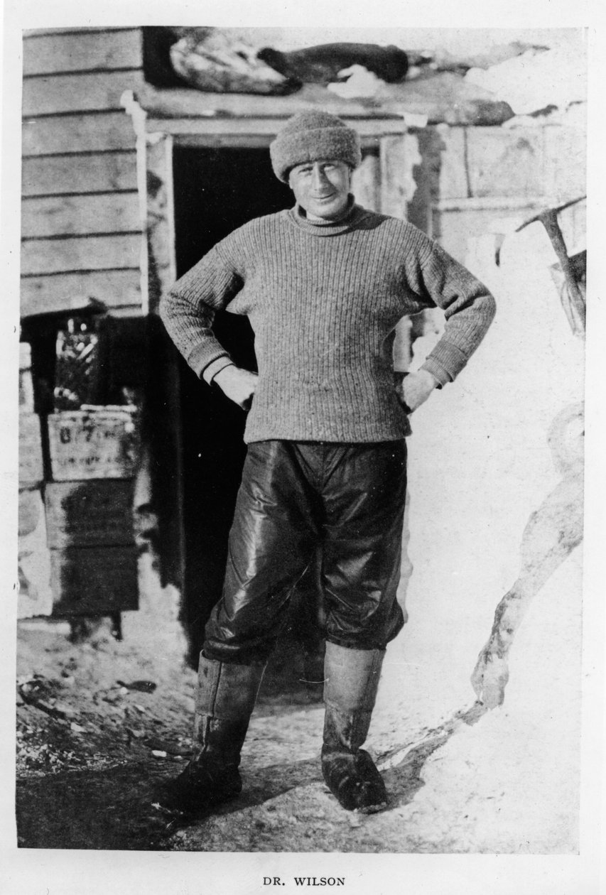 Doktor Wilson, 1911 autorstwa Herbert Ponting