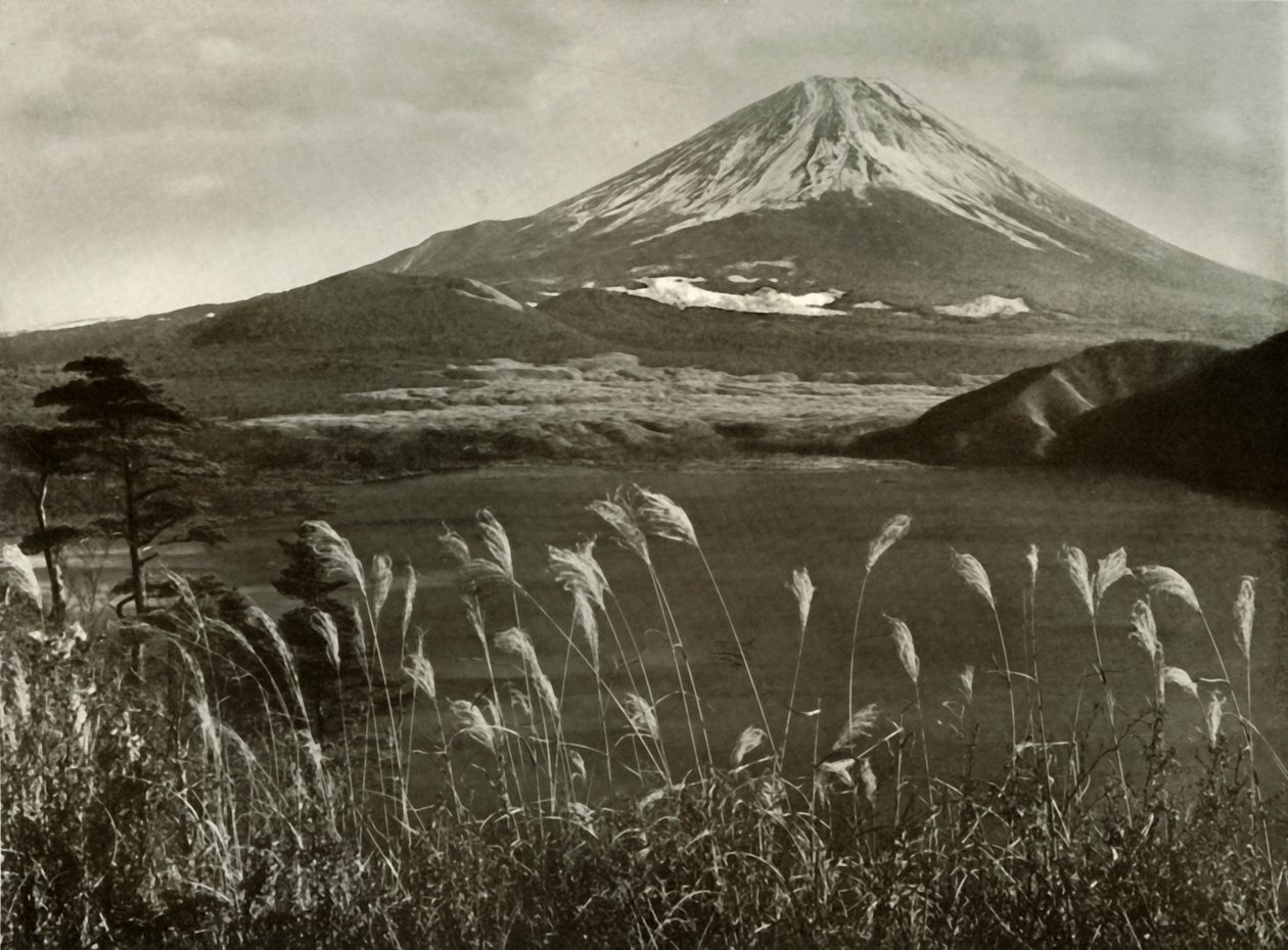 Fuji i trawa Kaia, 1910. autorstwa Herbert Ponting