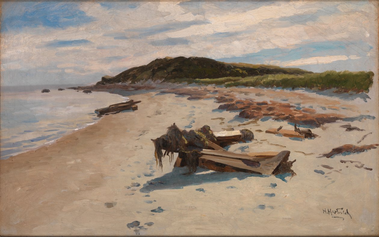 Cape Cod, Plaża, 1894. autorstwa Herman Hartwich