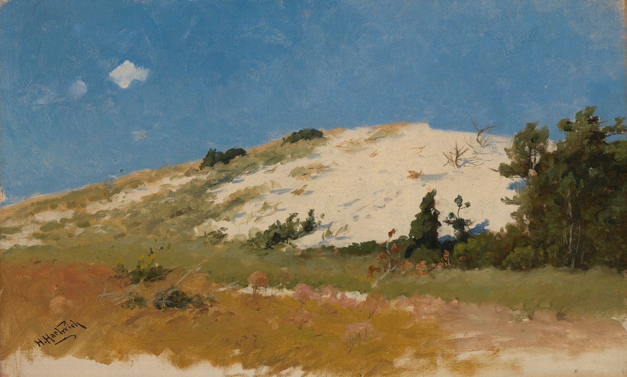Cape Cod, wydma, 1894. autorstwa Herman Hartwich