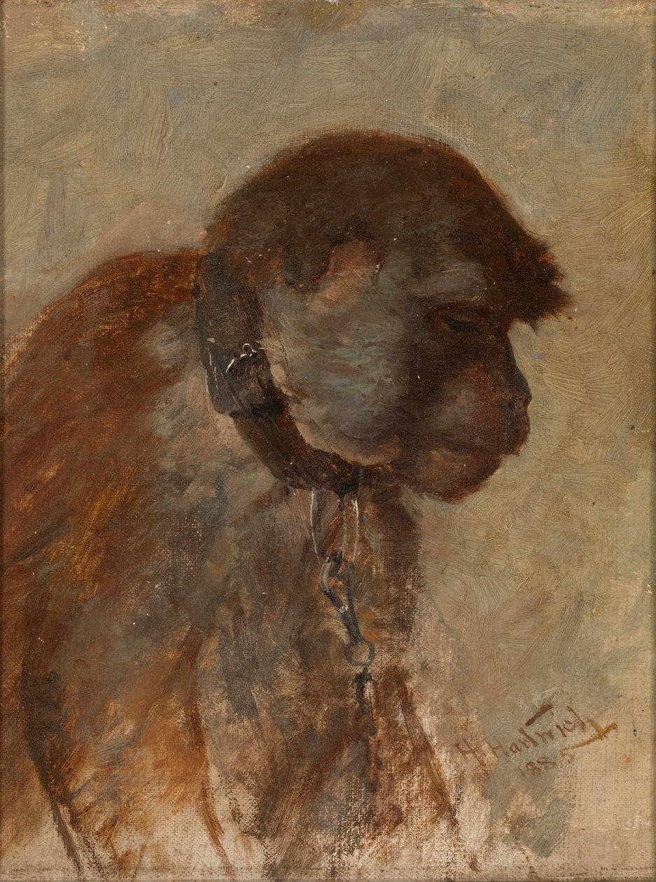 Medytacja, 1885. autorstwa Herman Hartwich