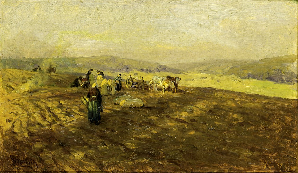 Maszyny do czyszczenia ziemniaków, b.d. autorstwa Herman Hartwich