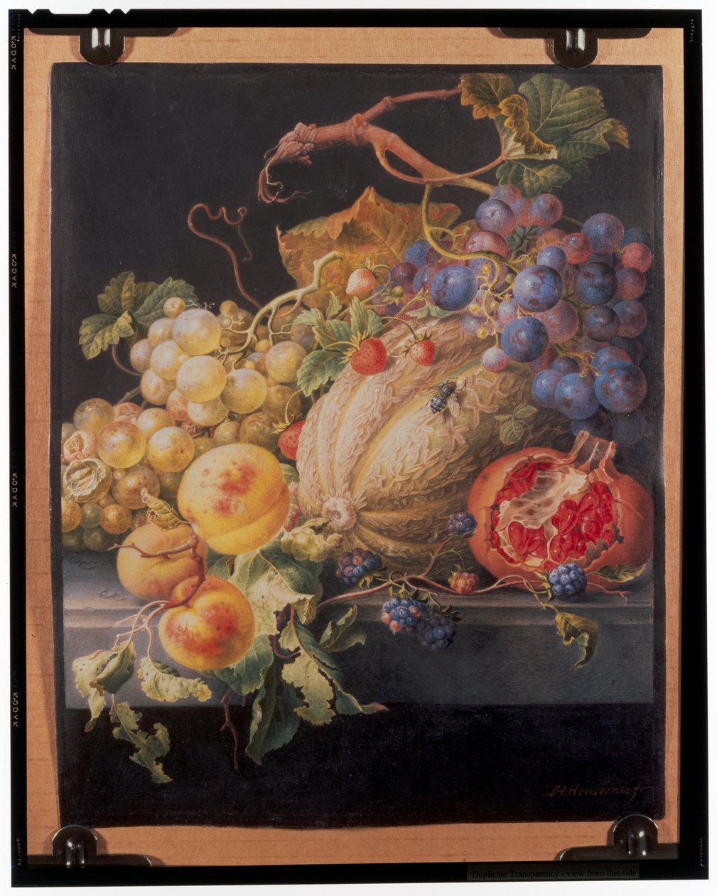 Fruit Still Lifepolish autorstwa Herman Henstenburgh