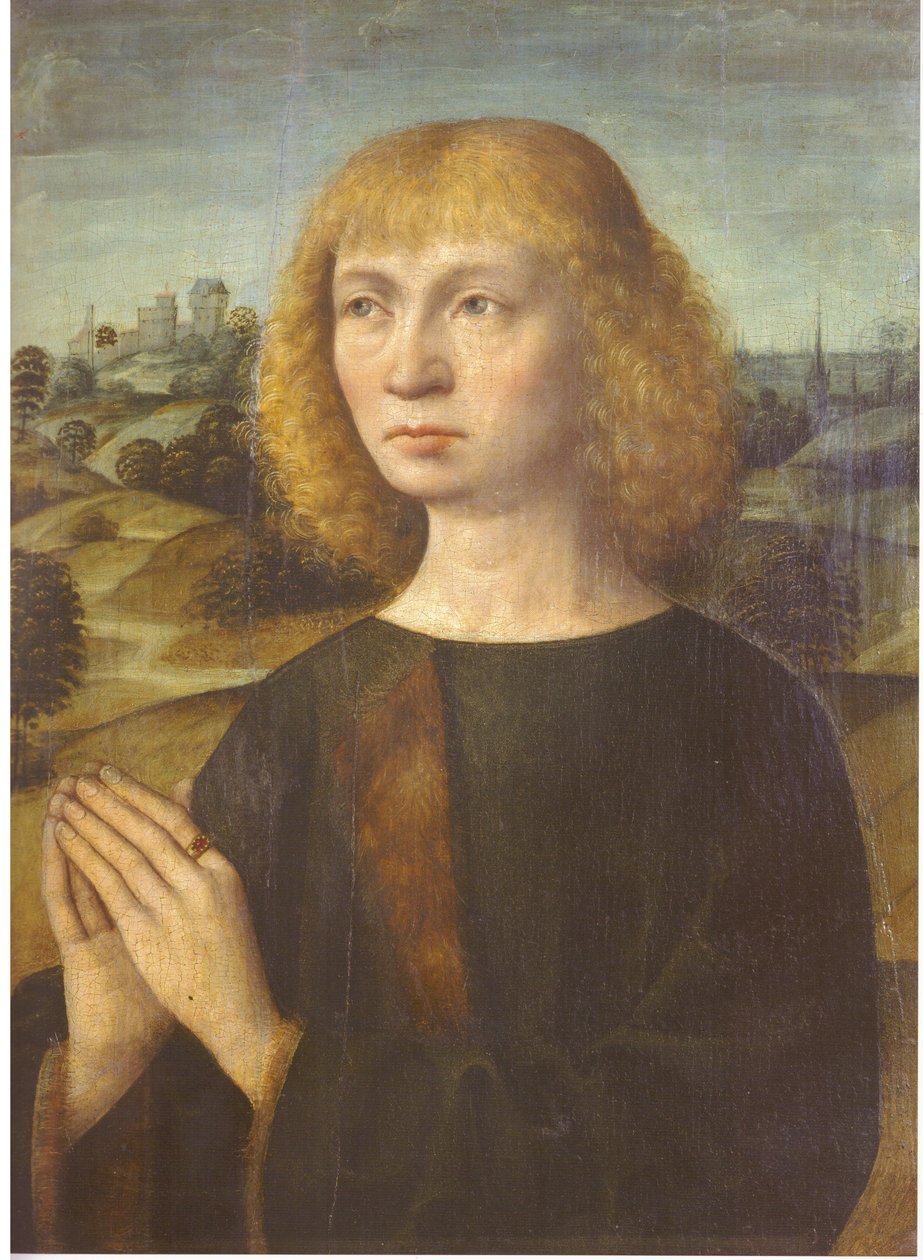 Portret młodego mężczyzny autorstwa Hermen Rode