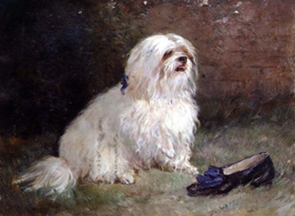 Terier maltański autorstwa Heywood Hardy