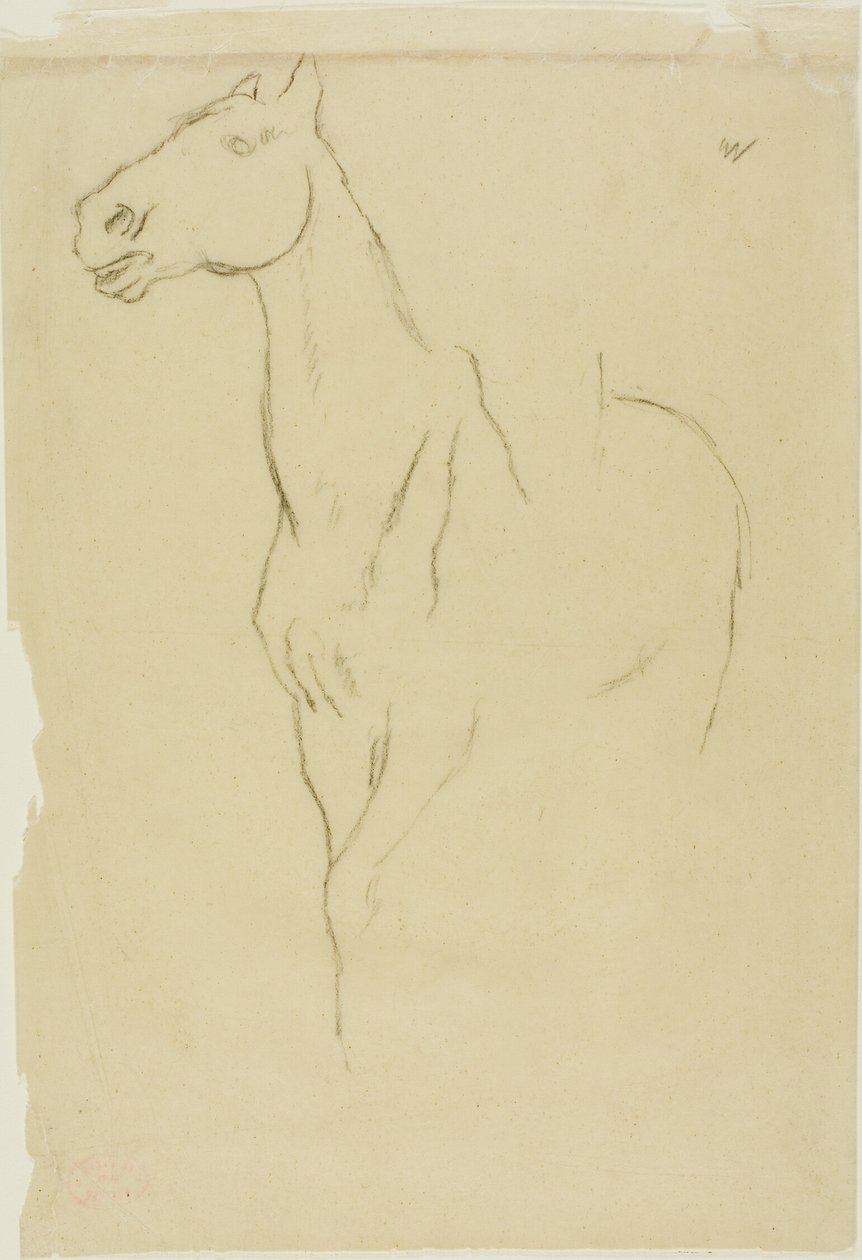 Horse Turned Three-Quarters autorstwa Hilaire Germain Edgar Degas