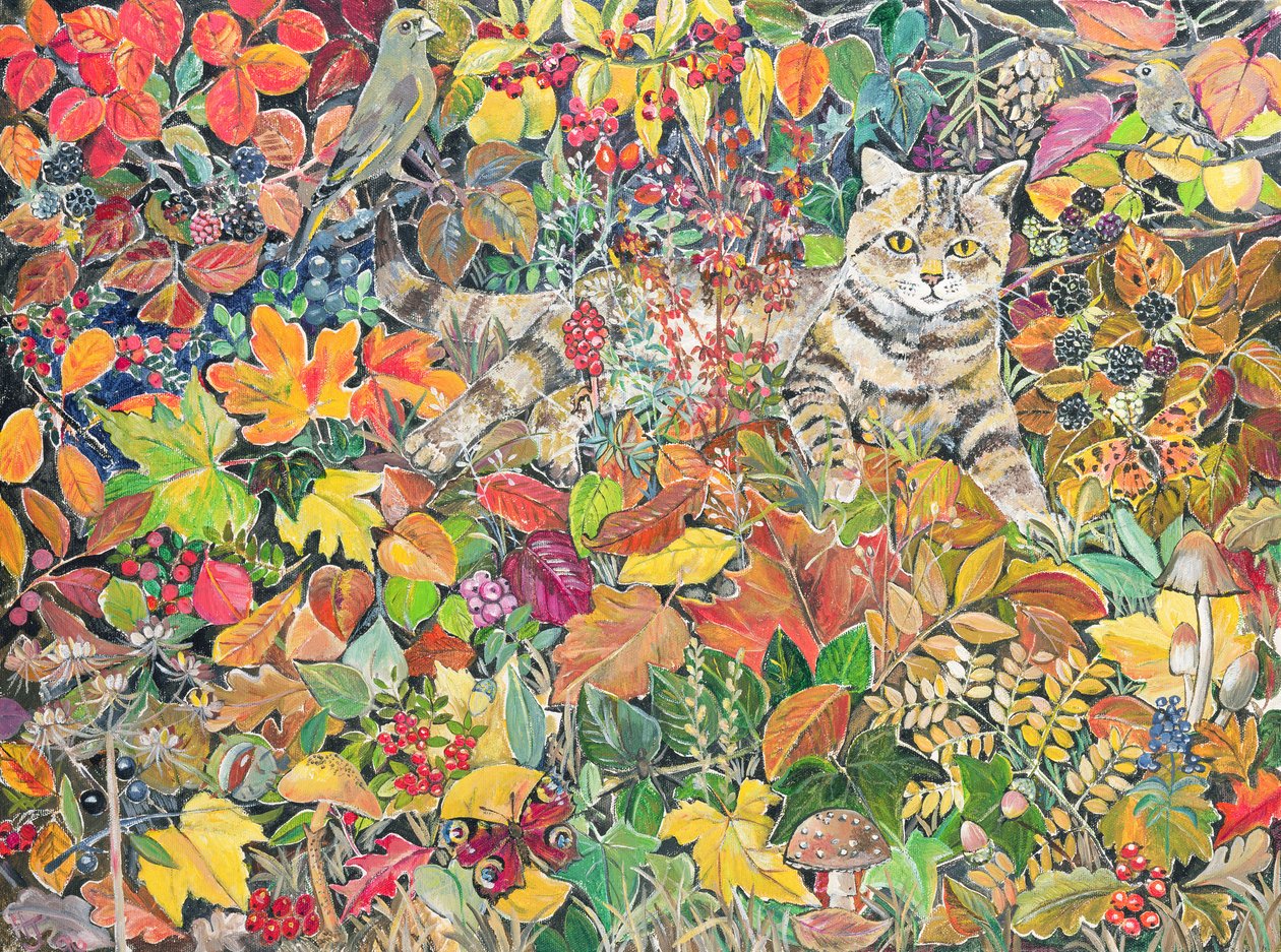 Tabby jesienią, 1996 autorstwa Hilary Jones